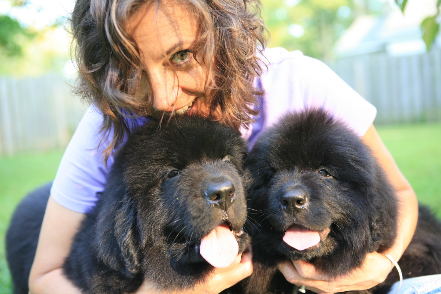 Virginia with two Newfoundland pups Virginia with two Newfoundland pups